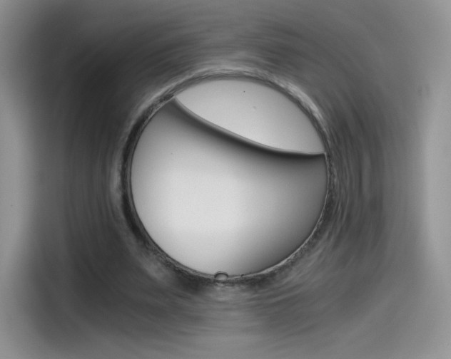 X0000114430487200910161035