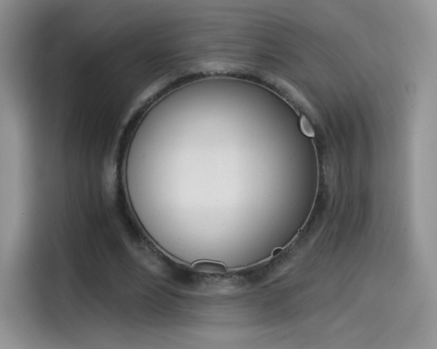 X0000114430488200910161035