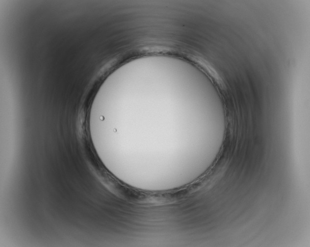 X0000114430490200910161035