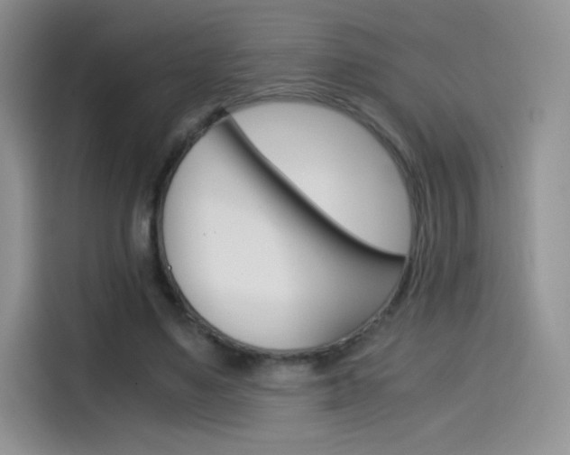 X0000114430491200910161035