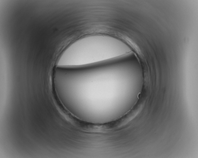 X0000114430493200910161035
