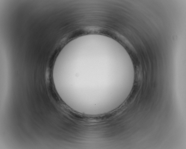 X0000114430494200910161035