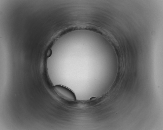X0000114430496200910161035