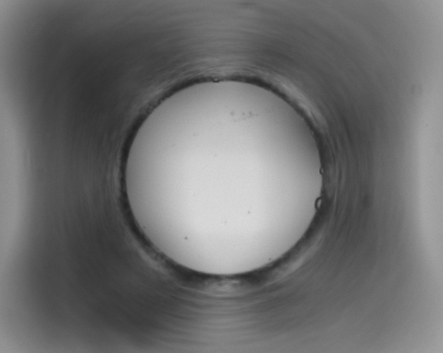 X0000114430497200910161035