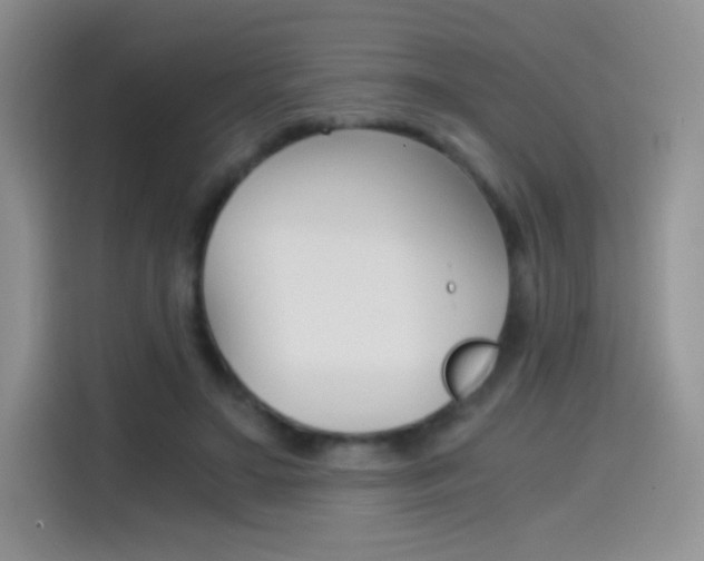 X0000114430499200910161035