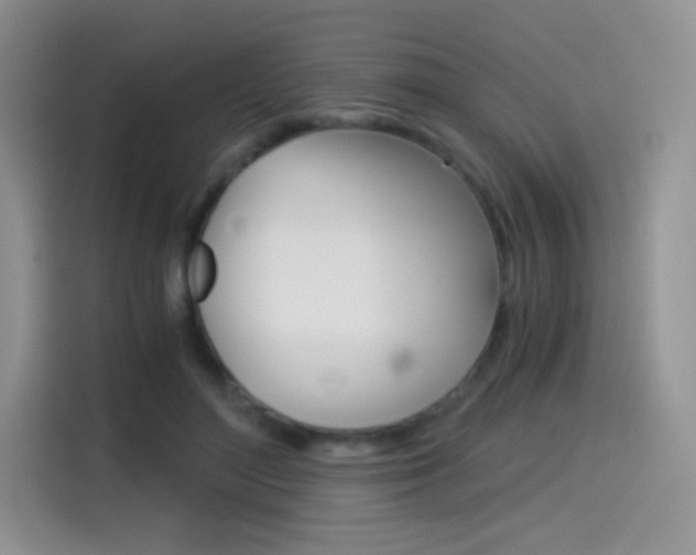 X0000114430500200910161035