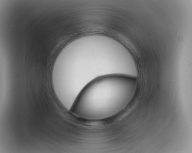 X0000114430501200910161035