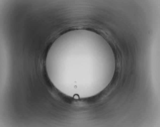 X0000114430503200910161035