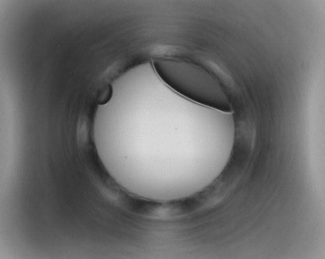 X0000114430504200910161035
