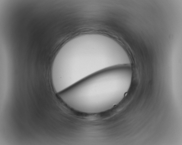 X0000114430505200910161035