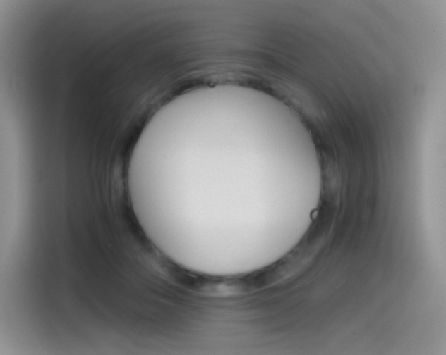 X0000114430506200910161035