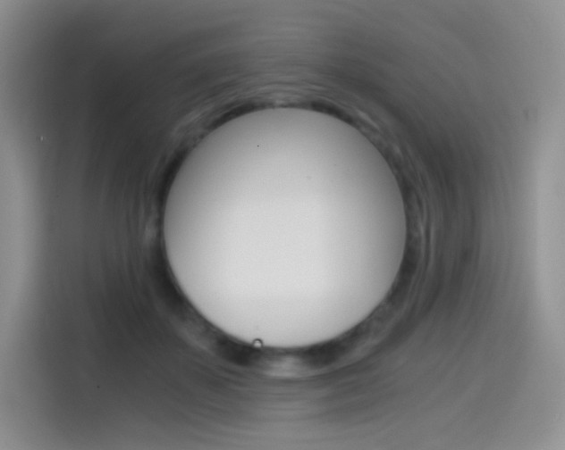X0000114430507200910161035