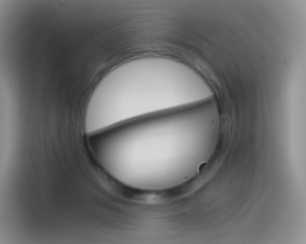 X0000114430509200910161035