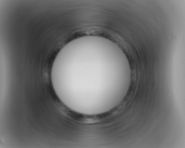 X0000114430510200910161035