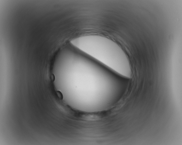 X0000114430512200910161035