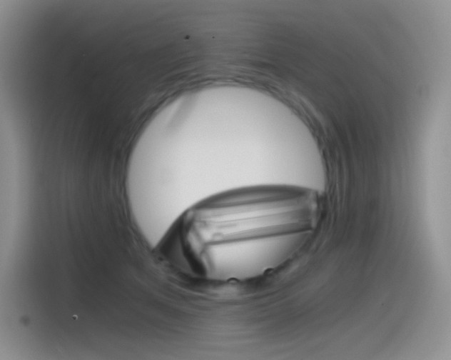 X0000114430513200910161035