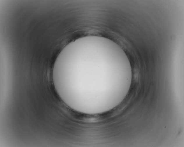 X0000114430514200910161035