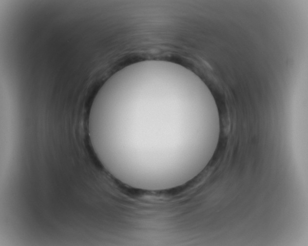 X0000114430515200910161034