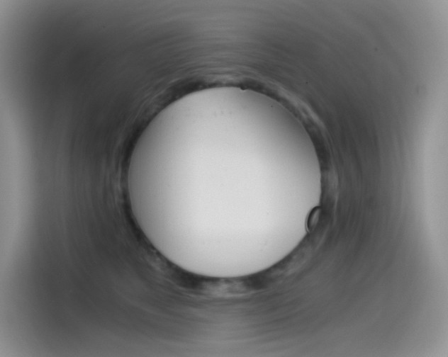 X0000114430517200910161034