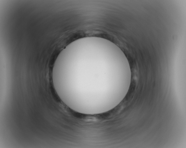 X0000114430519200910161034