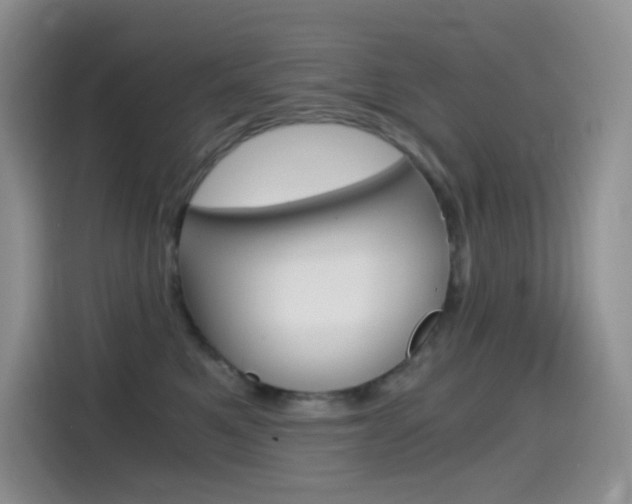 X0000114430521200910161034