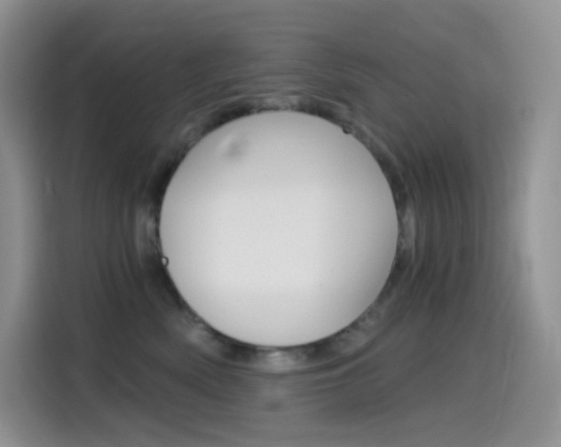 X0000114430522200910161034