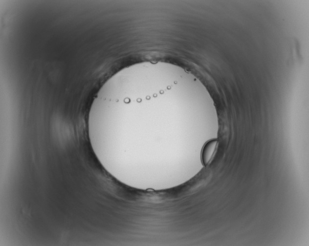 X0000114430523200910161034