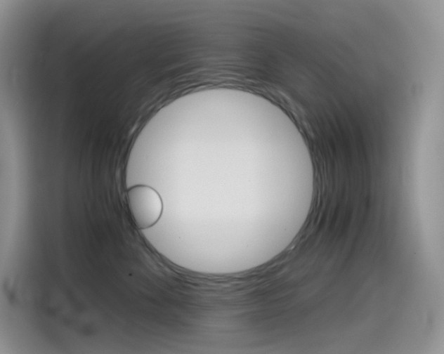 X0000114430524200910161034