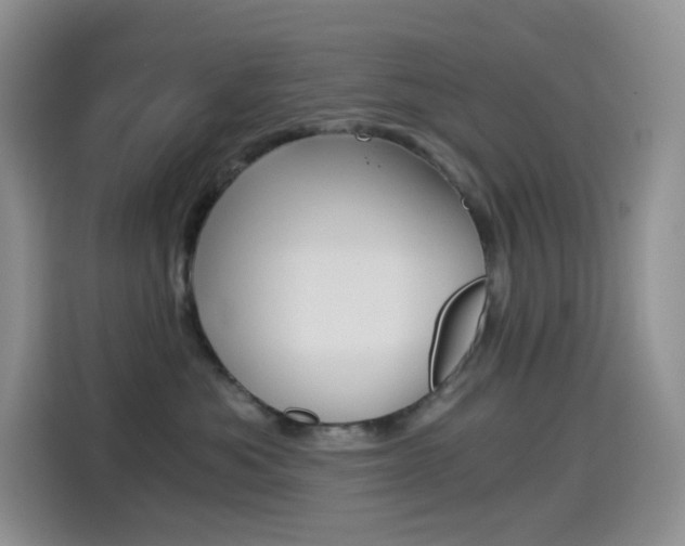 X0000114430525200910161034