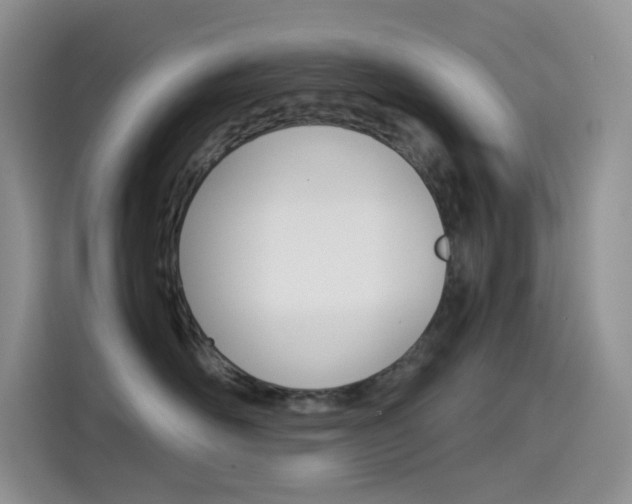 X0000114430526200910161034
