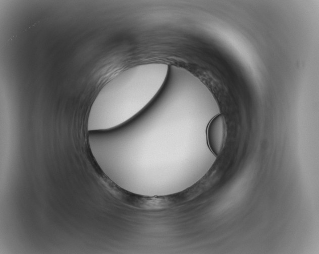 X0000114430527200910161034