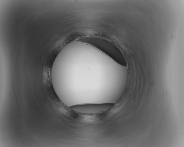 X0000114430528200910161034