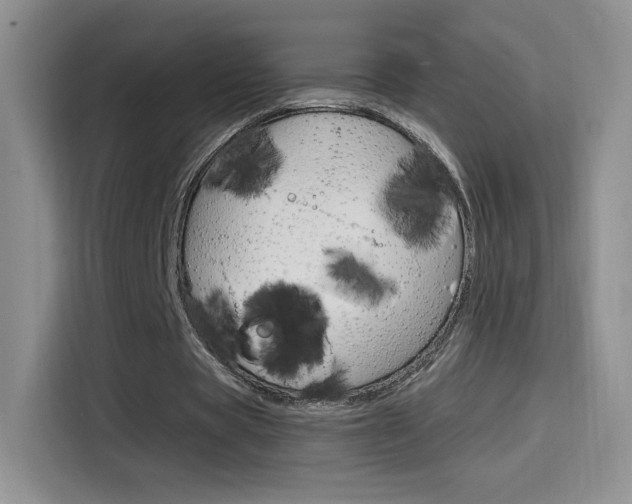 X0000114430529200910161034