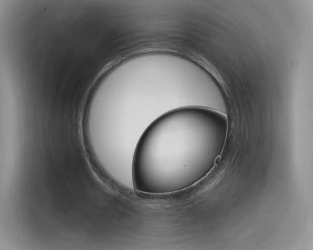 X0000114430530200910161034