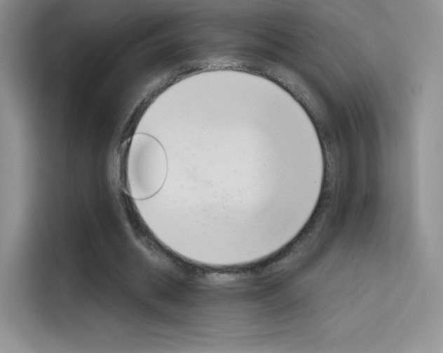 X0000114430534200910161034