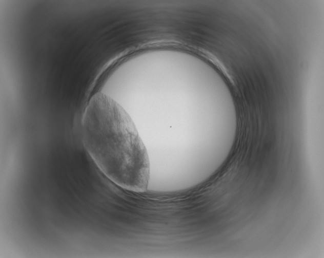 X0000114430535200910161034