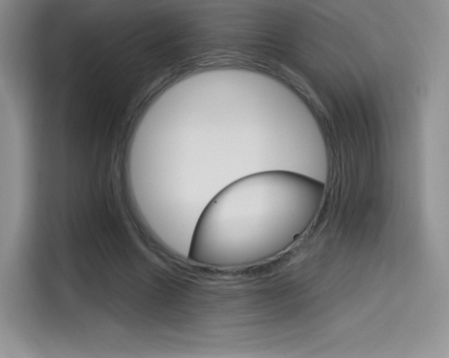 X0000114430538200910161034