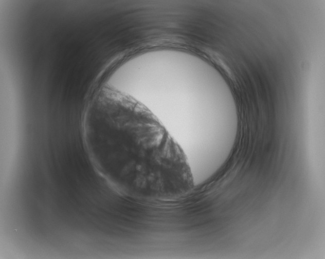 X0000114430539200910161034