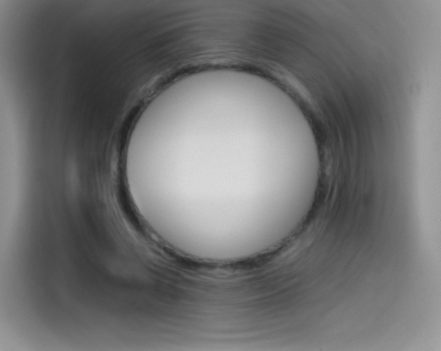 X0000114430542200910161034