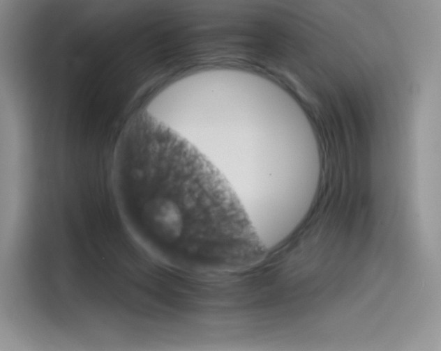X0000114430543200910161034