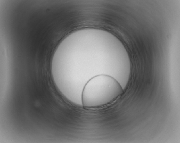 X0000114430546200910161034