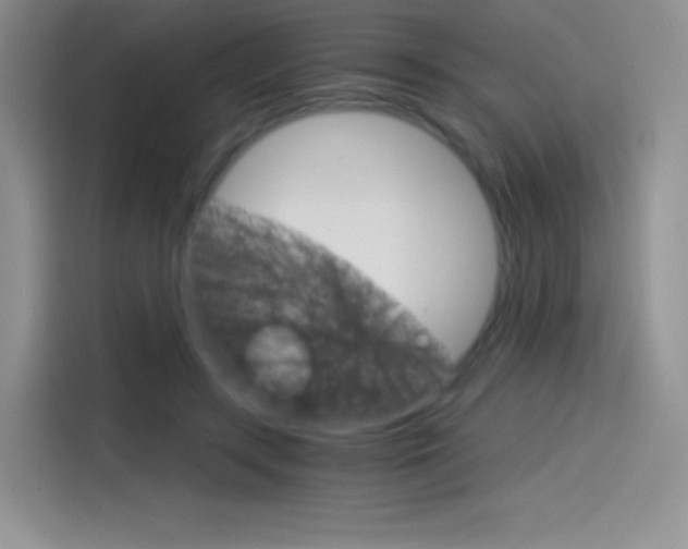 X0000114430547200910161034