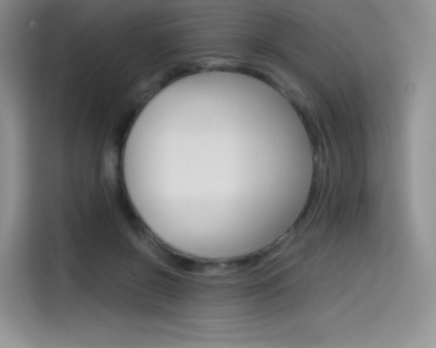 X0000114430550200910161034