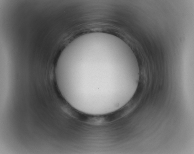 X0000114430554200910161034