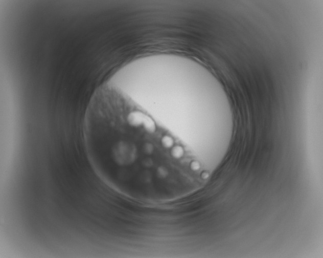 X0000114430555200910161034