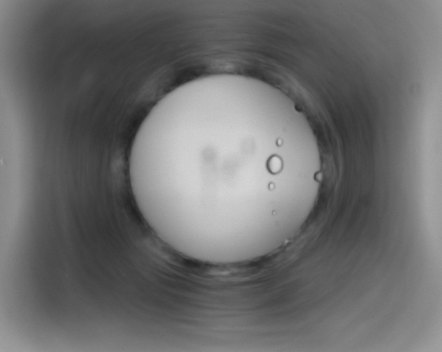 X0000114430557200910161034