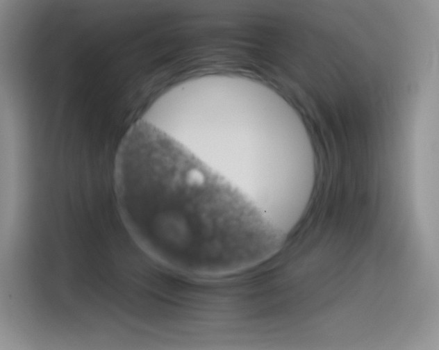 X0000114430559200910161034