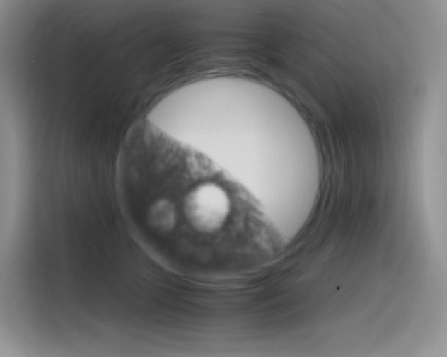 X0000114430563200910161034