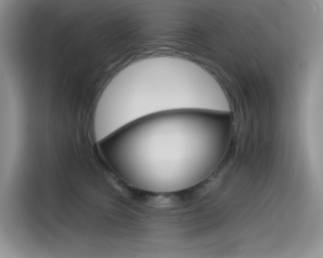 X0000114430566200910161034