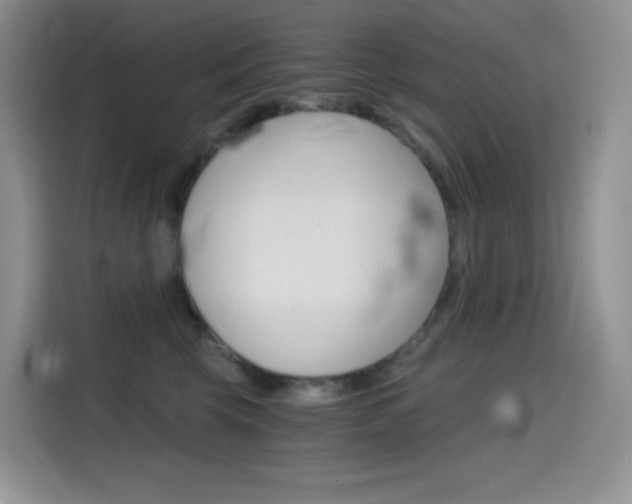 X0000114430569200910161034